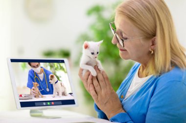Veterinerle çevrimiçi danışmanlık. Veteriner görüntülü sohbet yoluyla hayvanı inceliyor. Karantina sırasında kedi kontrolü. Veteriner doktor, evcil hayvanı konferans çağrısında kontrol ediyor. Uzaktan ilaç ve acil yardım.