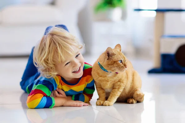 Child playing with cat at home. Kids and pets. Little boy feeding and petting cute ginger color cat. Cats tree and scratcher in living room interior. Children play and feed kitten. Home animals.