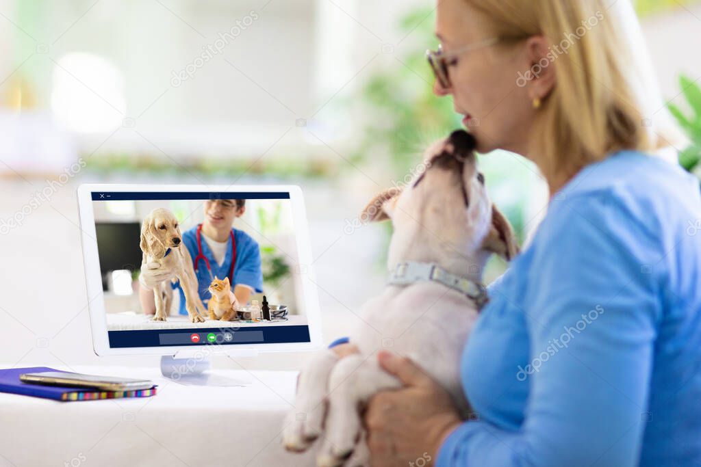 Online consultation with veterinarian. Vet examining animal via video chat. Dog check up during quarantine. Veterinary doctor checking pet in conference call. Remote medicine and emergency assistance.