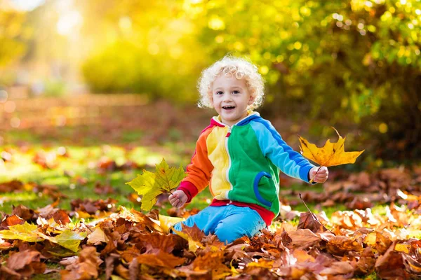 Kinderen Spelen Het Herfstpark Kinderen Gooien Gele Rode Bladeren Kleine — Stockfoto