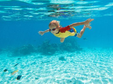 Çocuk şnorkelle yüzüyor. Çocuklar su altında yüzer. Çocuklarla plaj ve deniz tatili. Küçük kız mercan resifi balıklarını izliyor. Egzotik adada deniz yaşamı. Çocuk yüzüyor ve şnorkel maskesi takıyor..
