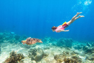Çocuk deniz kaplumbağasıyla şnorkelle yüzüyor. Çocuklar su altında yüzer. Çocuklarla yaz tatili. Küçük kız mercan balığı izliyor. Egzotik adada deniz yaşamı. Çocuk şnorkel ve maskeyle dalıyor.