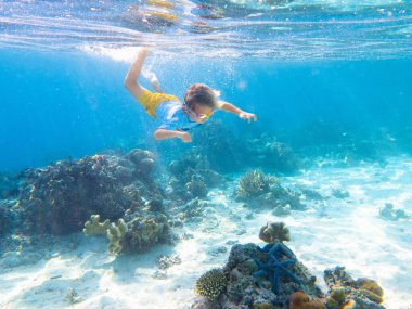 Çocuk şnorkelle yüzüyor. Çocuklar su altında yüzer. Çocuklarla plaj ve deniz tatili. Küçük çocuk mercan resifi balıklarını izliyor. Egzotik adada deniz yaşamı. Çocuk yüzüyor ve şnorkel ve maskeyle dalıyor..