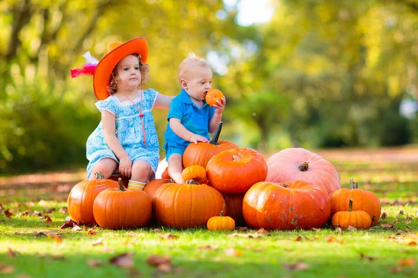 Små Barn Som Njuter Skördefestivalsfirandet Pumpapajen Barn Plockar Och Snidar — Stockfoto