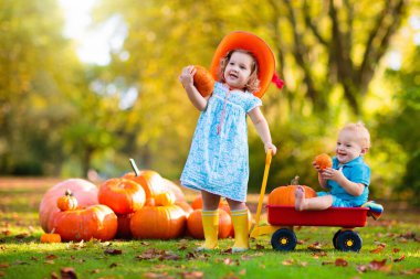 Bir grup çocuk balkabağı tarlasında hasat festivalinin tadını çıkarıyor. Çocuklar sıcak bir sonbahar gününde kır çiftliğinde balkabağı toplayıp oyuyorlar. Cadılar Bayramı ve Şükran Günü aile için eğlence.