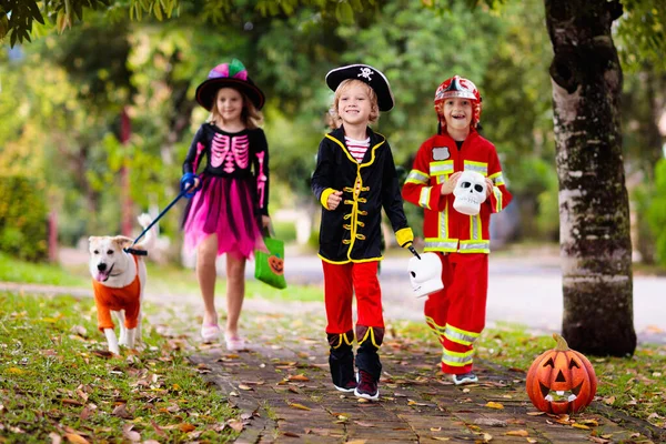 Kids trick or treat in Halloween costume. Children in colorful dress up with candy bucket on suburban street. Little boy and girl trick or treating with pumpkin lantern. Autumn holiday fun.