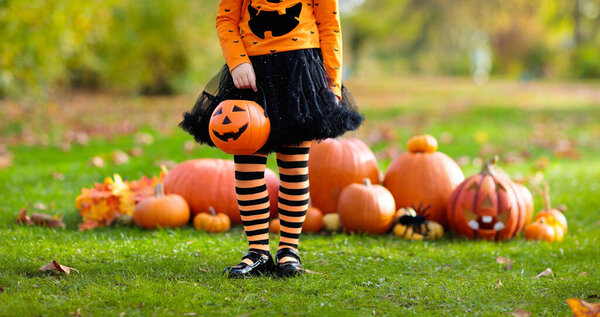 Children in black and orange witch costume and hat play with pumpkin and spider in autumn park on Halloween. Kids trick or treat. Little girl carving pumpkins. Family fun in fall. Dressed up child.