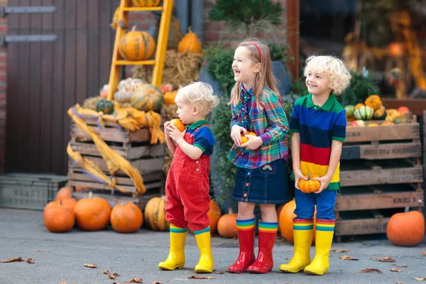 Kleine Kinderschar Genießt Erntedankfest Auf Dem Kürbisfeld Kinder Pflücken Und — Stockfoto