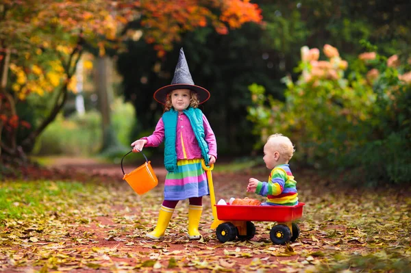 Дети Делают Сладости Ночь Хэллоуина Маленькая Девочка Тыквенным Лицом Ведро — стоковое фото
