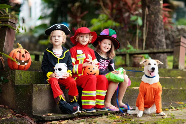 Kids Trick Treat Halloween Costume Children Colorful Dress Candy Bucket — Stock Photo, Image