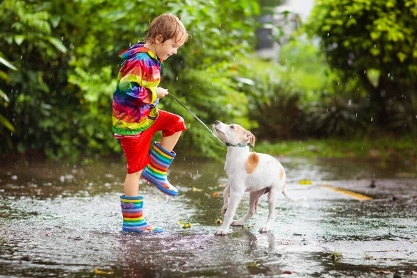 Sonbahar Parkında Yağmur Altında Oynayan Çocuk Köpek Çocuk Yürütme Köpeği — Stok fotoğraf