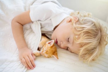 Bebek, beyaz örgü battaniyenin üzerinde kedi yavrusuyla uyuyor. Çocuk ve kedi. Çocuklar ve evcil hayvanlar. Hayvanı olan küçük çocuk. Evcil hayvanla sıcak bir kış akşamı. Çocuklar hayvanlarla oynar. Bebek ve kedi uyuyor..