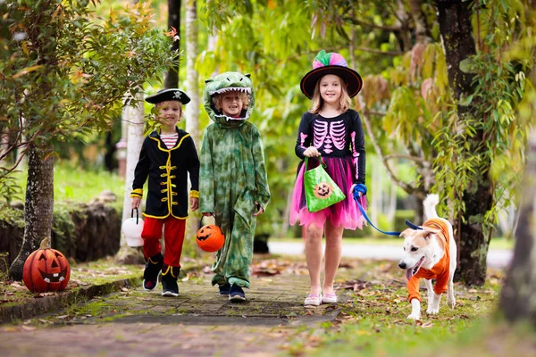 Koleda Pro Děti Halloweenském Kostýmu Děti Barevných Šatech Kbelíkem Cukroví — Stock fotografie