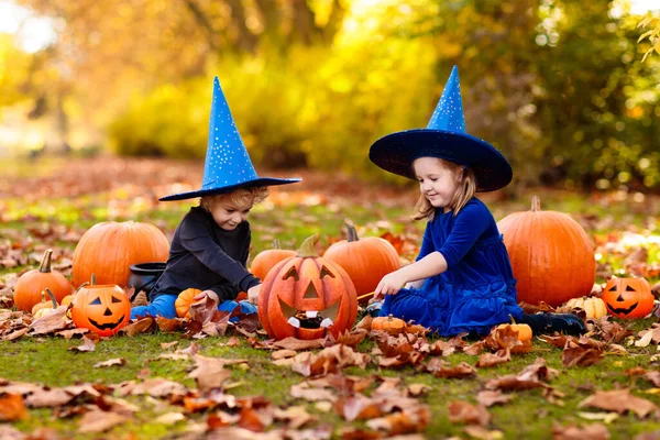 Kinder Blauem Hexenkostüm Und Hut Spielen Halloween Herbstpark Mit Kürbis — Stockfoto