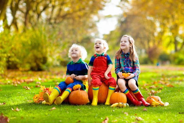 Kleine Kinderschar Genießt Erntedankfest Auf Dem Kürbisfeld Kinder Pflücken Und — Stockfoto