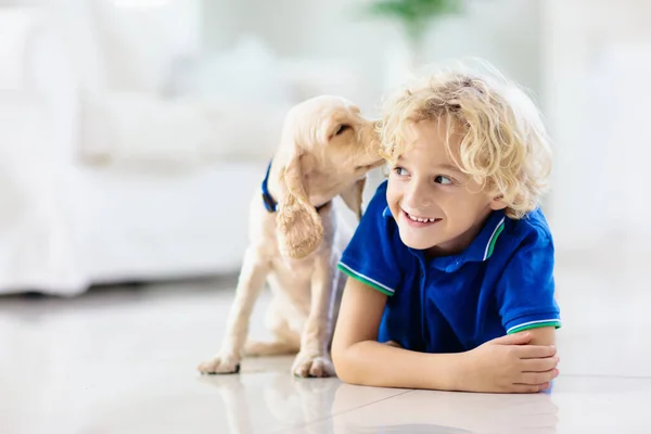 Дитина Бавиться Собакою Діти Бавляться Цуценям Маленький Хлопчик Американська Сковорідка — стокове фото