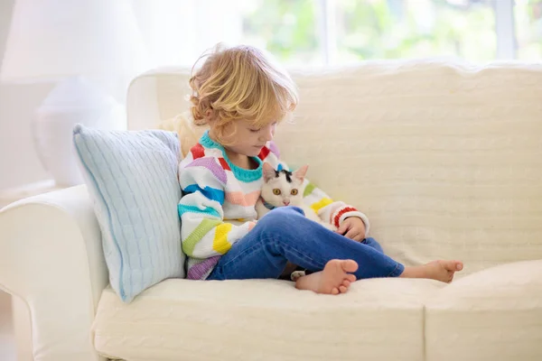 猫と遊ぶ子供 子猫を抱えてる 自宅の日当たりの良いリビングルームでソファに座ってかわいいペットの動物をつまみ食い小さな男の子 子供たちはペットと遊ぶ 子供と家畜 — ストック写真