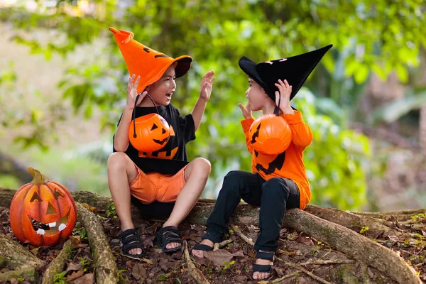 Niños Traje Bruja Negro Naranja Sombrero Con Calabaza Araña Parque — Foto de Stock