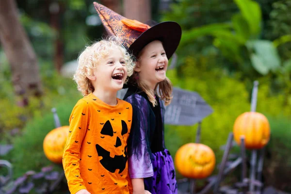 Criança Disfarçada Halloween Doces Travessuras Menino Menina Vestidos Bruxa Com — Fotografia de Stock