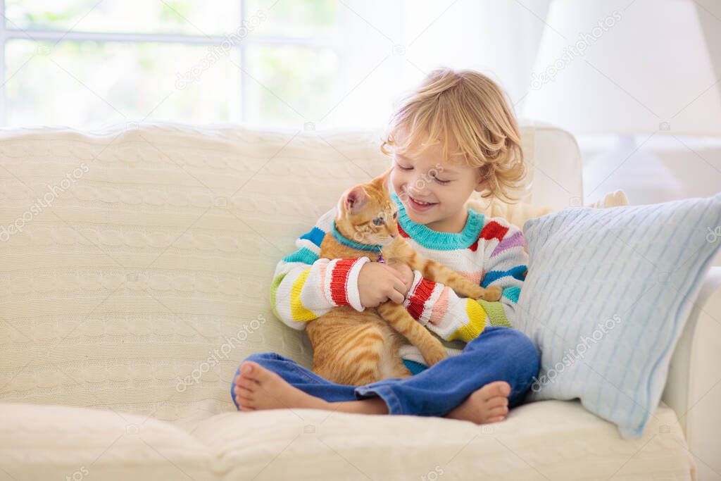 Child playing with cat. Kid holding kitten. Little boy snuggling cute pet animal sitting on couch in sunny living room at home. Kids play with pets. Children and domestic animals.