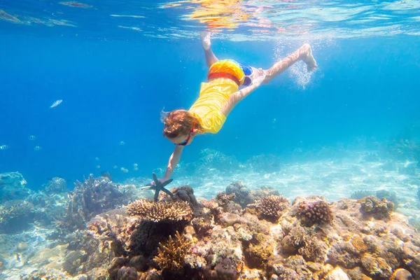 Child snorkeling. Kids swim underwater. Beach and sea summer vacation with children. Little girl watching coral reef fish. Marine life on exotic island. Kid swimming and diving with snorkel and mask.