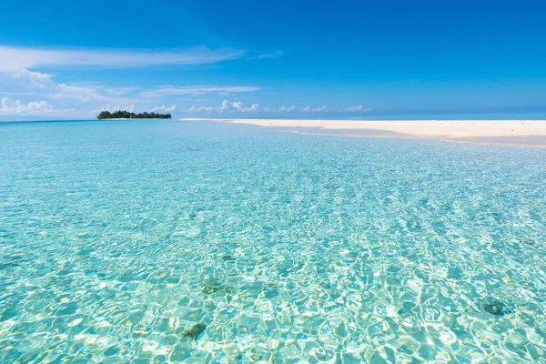 Tropikalna Plaża Palmami Przejrzystą Turkusową Wodą Egzotyczna Laguna Wybrzeżu Oceanu — Zdjęcie stockowe