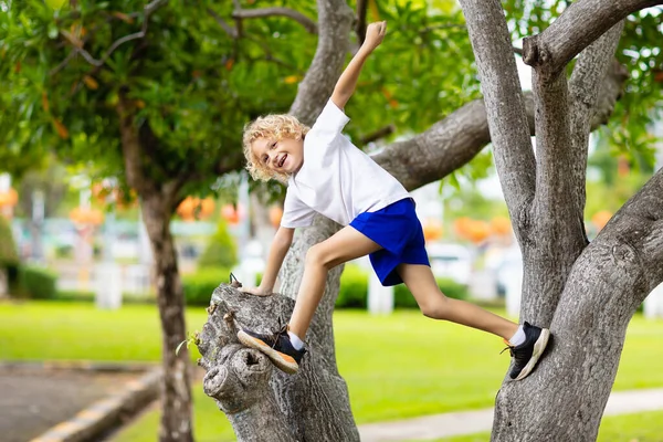 Kinderen Klimmen Boom Het Zomerpark Kinderklimmen Avontuur Voor Jonge Ontdekkingsreiziger — Stockfoto