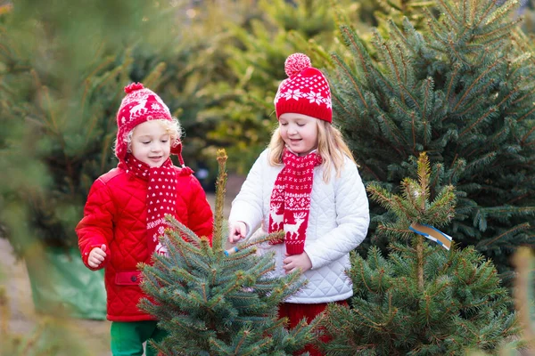 Família Selecionando Árvore Natal Crianças Escolhendo Recém Cortado Noruega Árvore — Fotografia de Stock