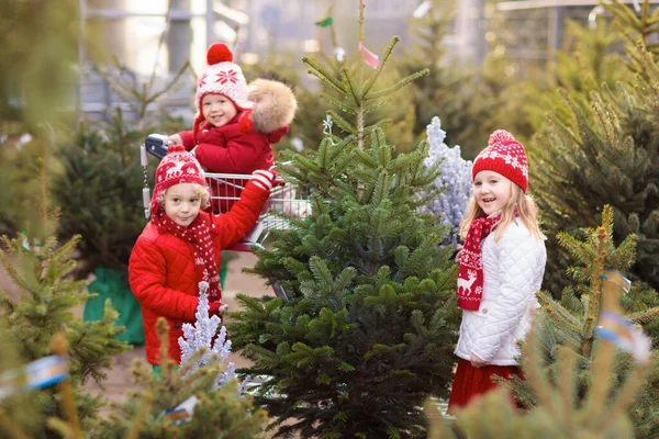 クリスマスツリーを選ぶ家族 屋外で新鮮なノルウェーのクリスマスツリーを選ぶ子供たち 子供たちは冬のフェアで贈り物を買う 市場でクリスマスの装飾のための男の子と女の子の買い物 — ストック写真