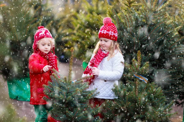 Noel Ağacını Seçen Aile Çocuklar Açık Hava Parkında Yeni Kesilmiş — Stok fotoğraf