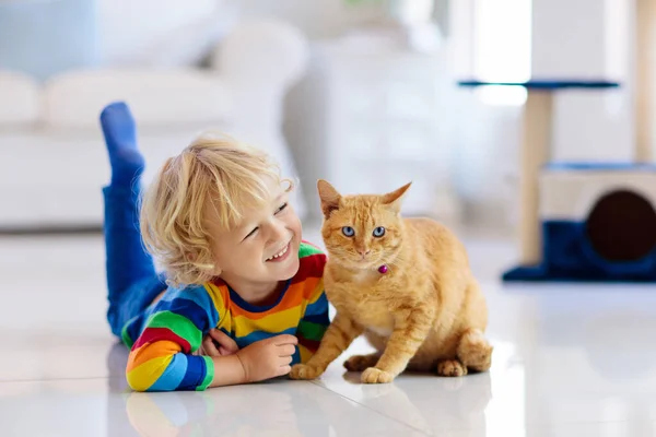 Gyerek Macskával Játszik Otthon Gyerekek Háziállatok Kisfiú Etetés Simogatás Aranyos — Stock Fotó