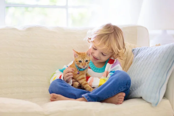Gyerek Macskával Játszik Kölyöknél Kiscica Kisfiú Ölelés Aranyos Kisállat Kanapén — Stock Fotó
