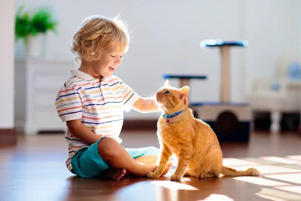 孩子在家里和猫玩耍 孩子和宠物 小男孩喂着可爱的姜黄猫 爱抚它 客厅里的猫 树和刮胡刀 孩子们玩和喂猫 家养动物 — 图库照片