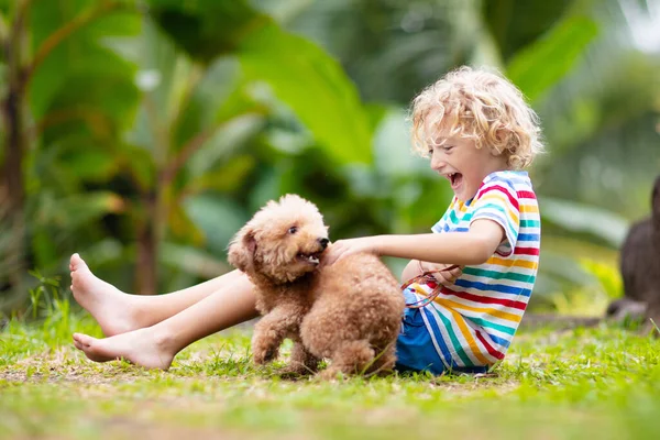 子供たちはかわいい子犬と遊ぶ 晴れた夏の庭で遊んでいる子供と赤ちゃんの犬 子犬を抱えてる男の子 ペット連れの子供 公園の芝生の上の家族やペット 子供と動物の友情 — ストック写真