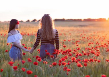 İki lezbiyen kadın gün batımında gelincik tarlasında el sıkışıyor.