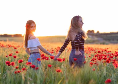 İki lezbiyen kadın gün batımında gelincik tarlasında el sıkışıyor.