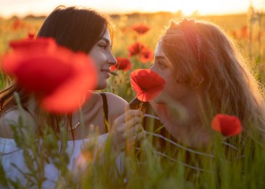 İki lezbiyen kadın gün batımında gelincik tarlasında el sıkışıyor.
