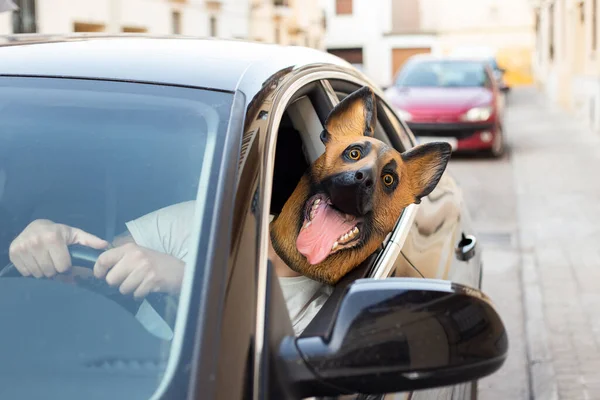 Köpek maskeli dövmeli adam araba kullanıyor.