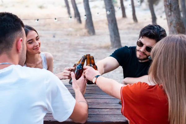 group of friends toasting with beers at a picnic area