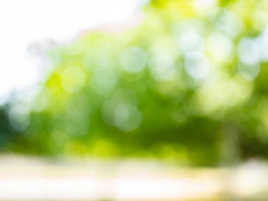 Güzel doğa Bokeh. Bulanık arkaplan
