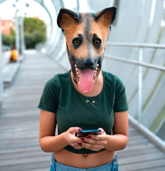 Люди Женщина Помощью Смартфона Собачьей Маской — стоковое фото