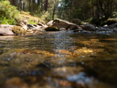 Taşlı bir nehre yakın.
