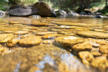 Taşlı bir nehre yakın.