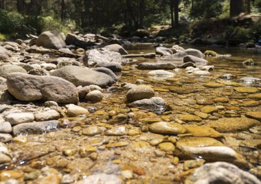 Taşlar ve güneş ışınları altındaki su