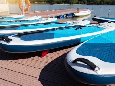 port 'ta kürek sörf tahtaları