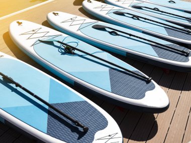 port 'ta kürek sörf tahtaları