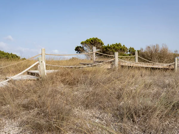 Wooden Railing Rope Beach Summer Concept — Stock Photo, Image