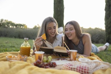 İki genç kadın, parkta sarı bir battaniyede pikniğin tadını çıkarıyor, birlikte kitap okuyor, abur cubur yiyor ve yaz boyunca içkilerini paylaşıyor.