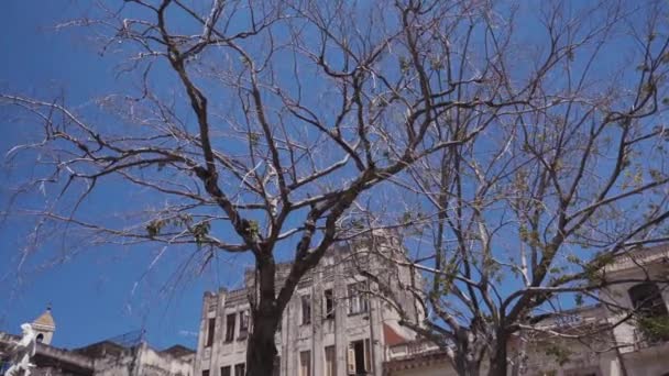 CUBA, HAVANA - OCTOBER 15, 2016: city tour, visit the main attractions of the colonial period in Cuba. The old streets, the main square, the citizens. Life through the eyes of a tourist in Havana. — Stock Video