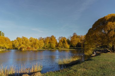 Parkta sıraya girin.